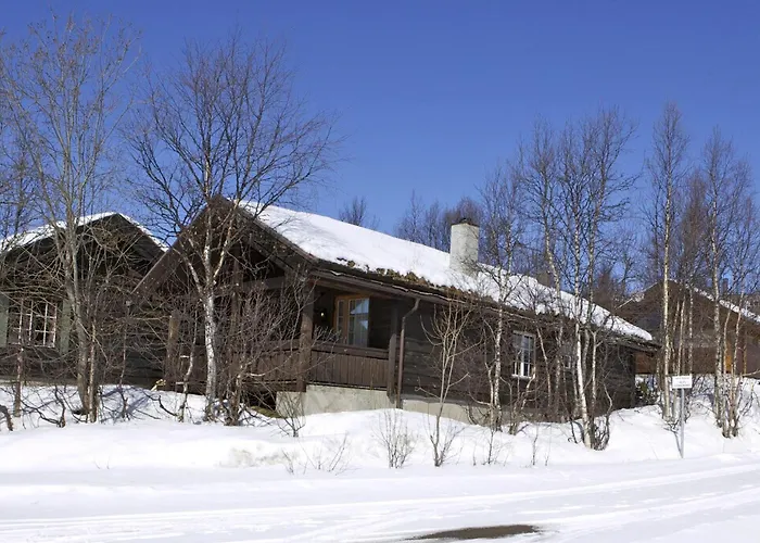 Сasa de vacaciones Koselig Sentral Eldre Med Peis