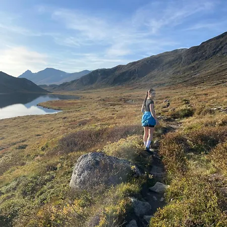 Koselig Sentral Eldre Med Peis בית נופש