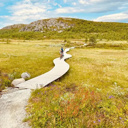 Koselig Sentral Eldre Med Peis בית נופש