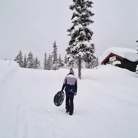 Koselig Sentral Eldre Med Peis