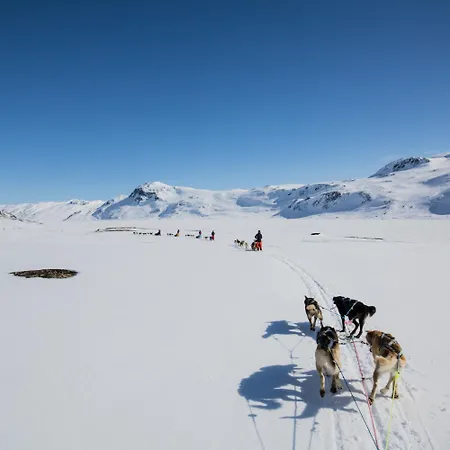 בית נופש Koselig Sentral Eldre Med Peis Beitostolen