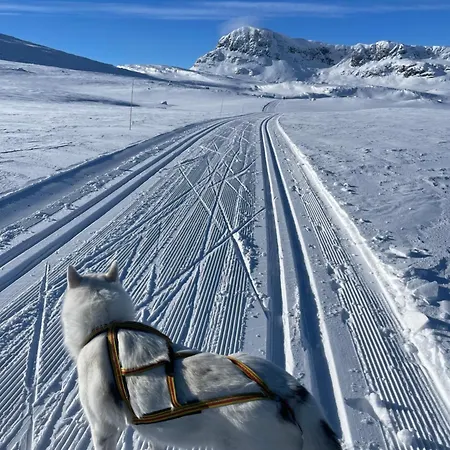 Koselig Sentral Eldre Med Peis בית נופש