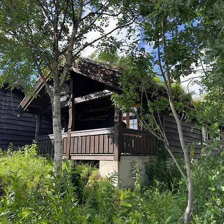 Koselig Sentral Eldre Med Peis Beitostolen