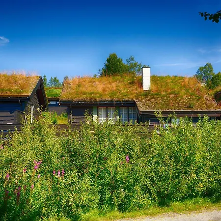 Koselig Sentral Eldre Med Peis * Beitostolen