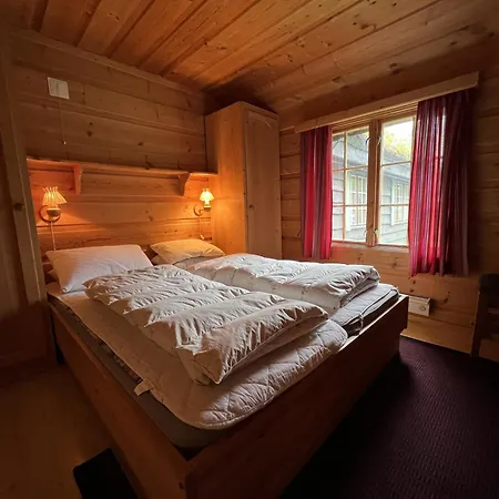 Koselig Sentral Eldre Med Peis *