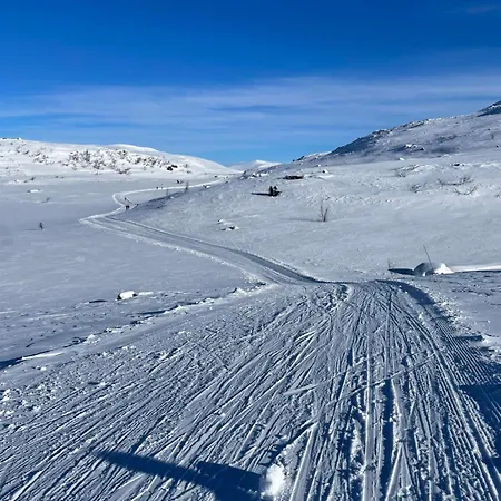 Koselig Sentral Eldre Med Peis Beitostolen